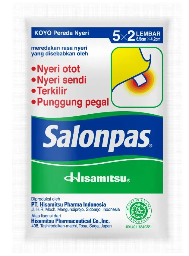SALONPAS KOYO BIRU 2'S @10